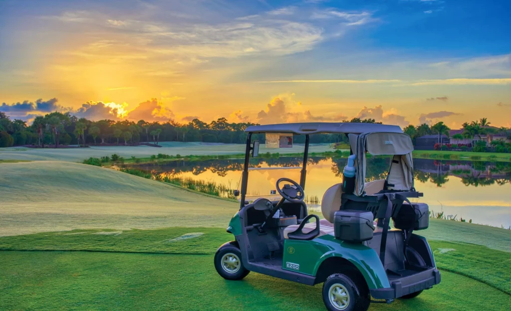  Golf Buggy Guy