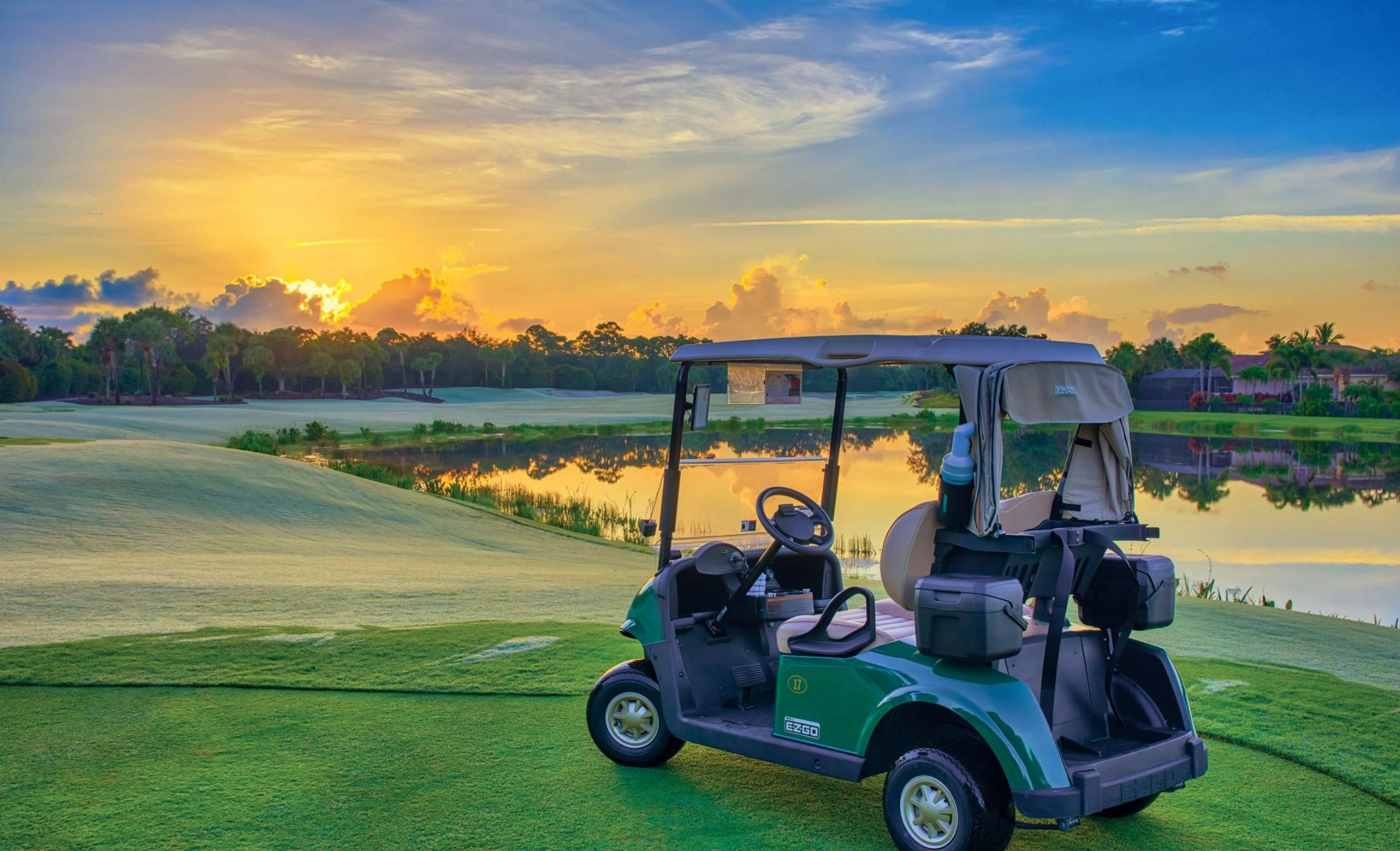  Golf Buggy Guy