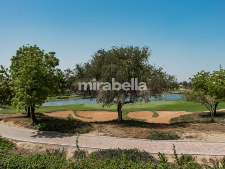 DSCF6360